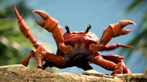 CRAB RAVE .